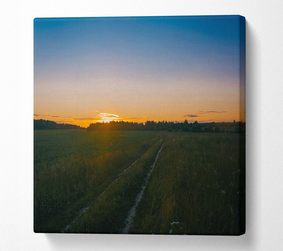  A Canvas Print of Golden Hour Path Canvas Wall Art