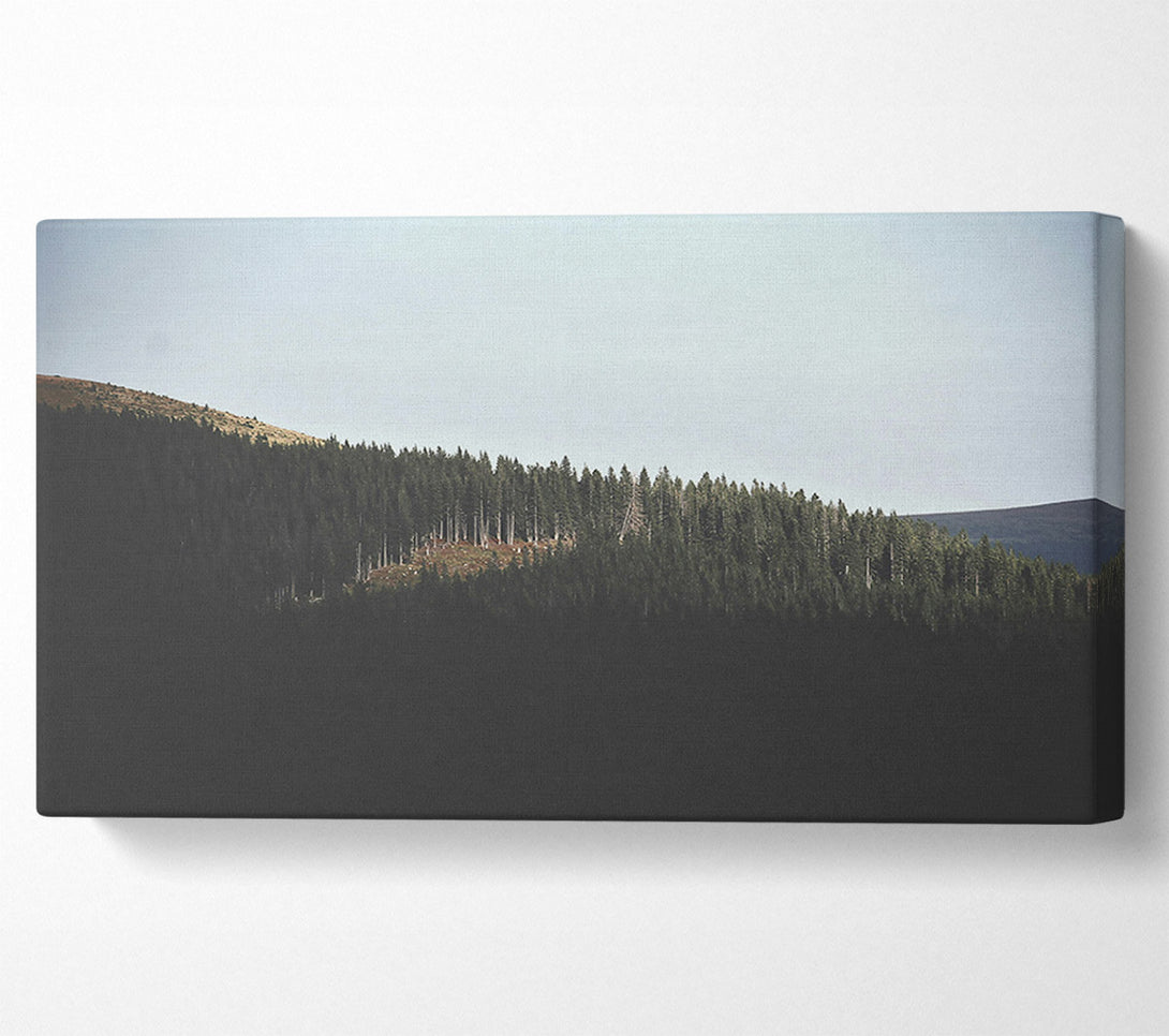  A Canvas Print of Green Ridge Shadows Canvas Print