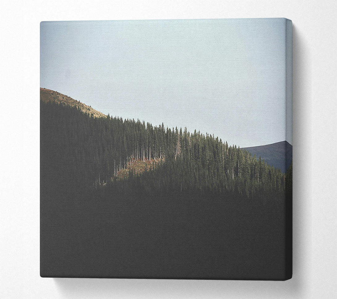  A Canvas Print of Green Ridge Shadows Canvas Print
