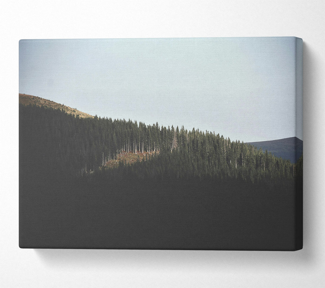  A Canvas Print of Green Ridge Shadows Canvas Print