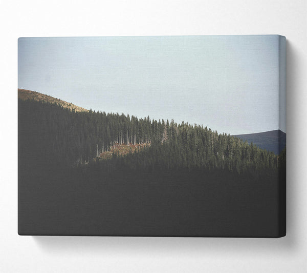  A Canvas Print of Green Ridge Shadows Canvas Print