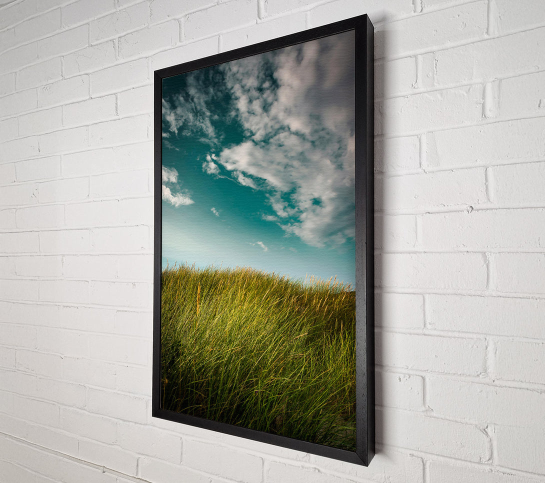  A Canvas Print of Teal Sky Grassland Canvas Art