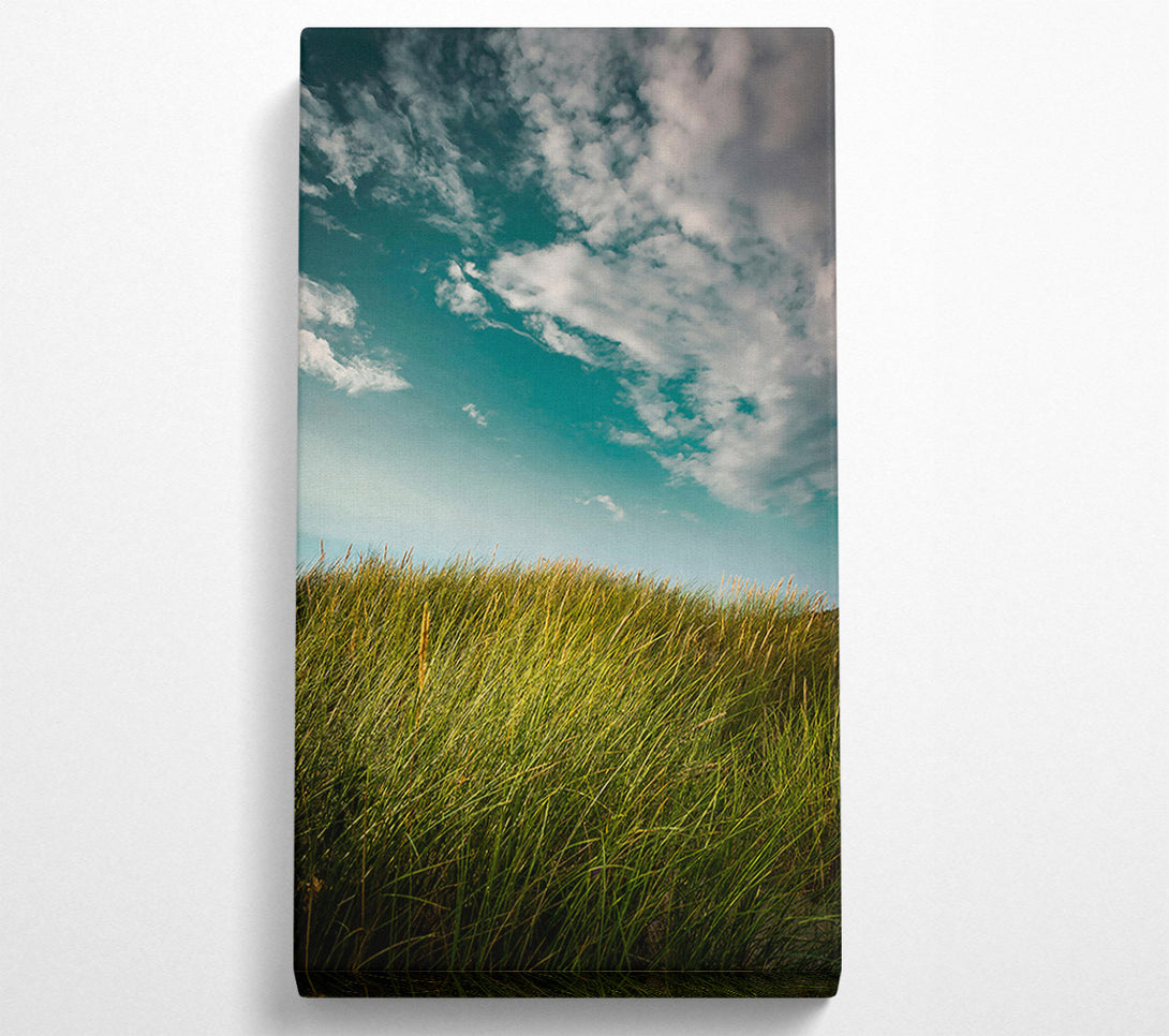  A Canvas Print of Teal Sky Grassland Canvas Art