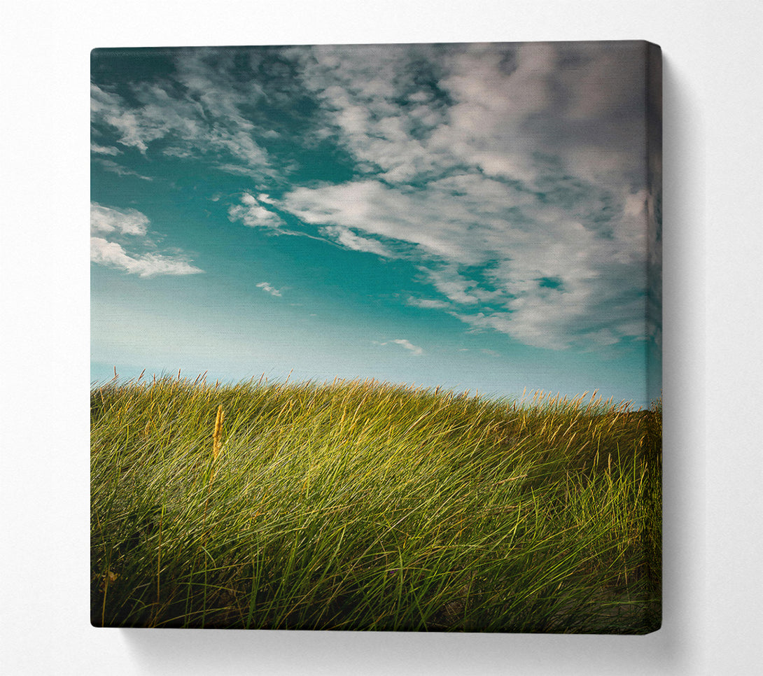  A Canvas Print of Teal Sky Grassland Canvas Art