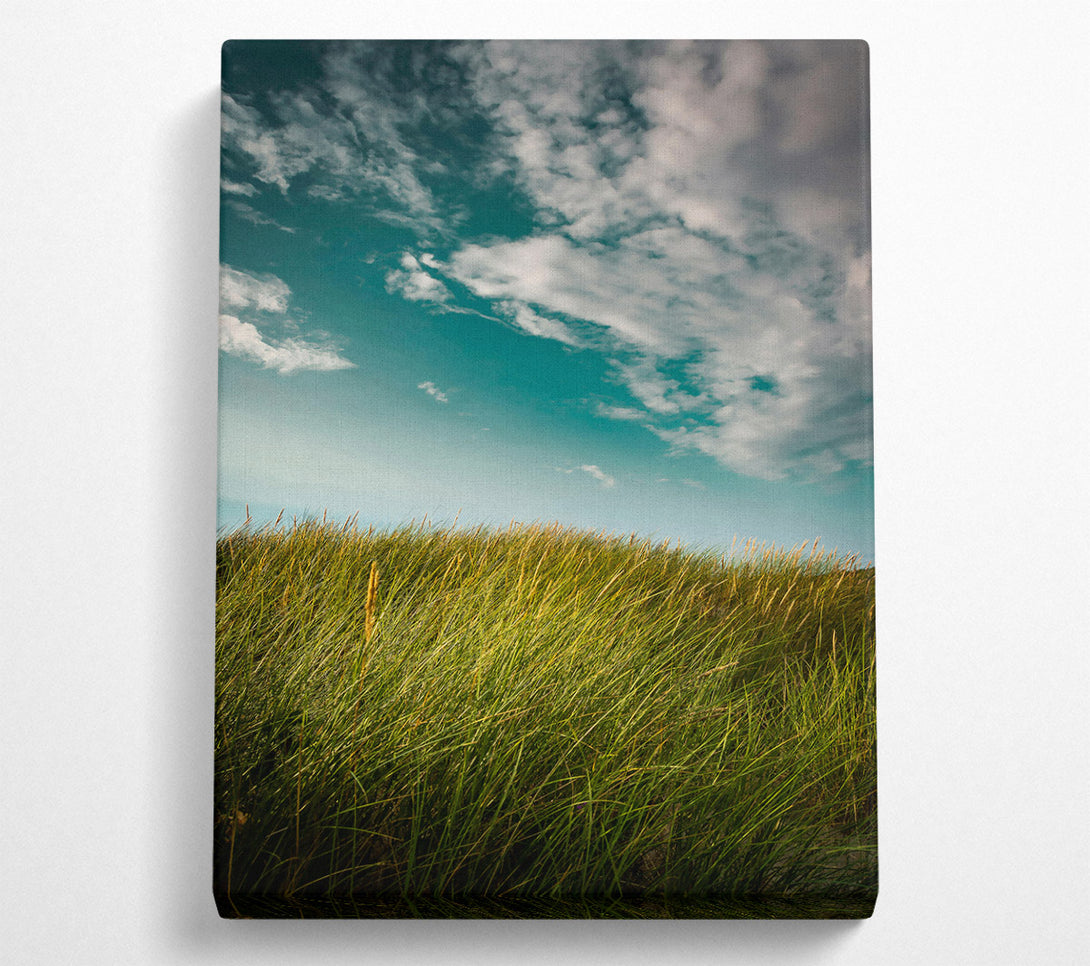  A Canvas Print of Teal Sky Grassland Canvas Art