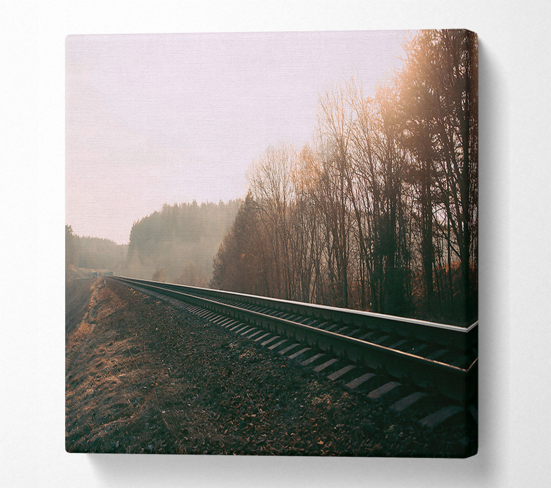  A Canvas Print of Golden Tracks Ahead Canvas Print