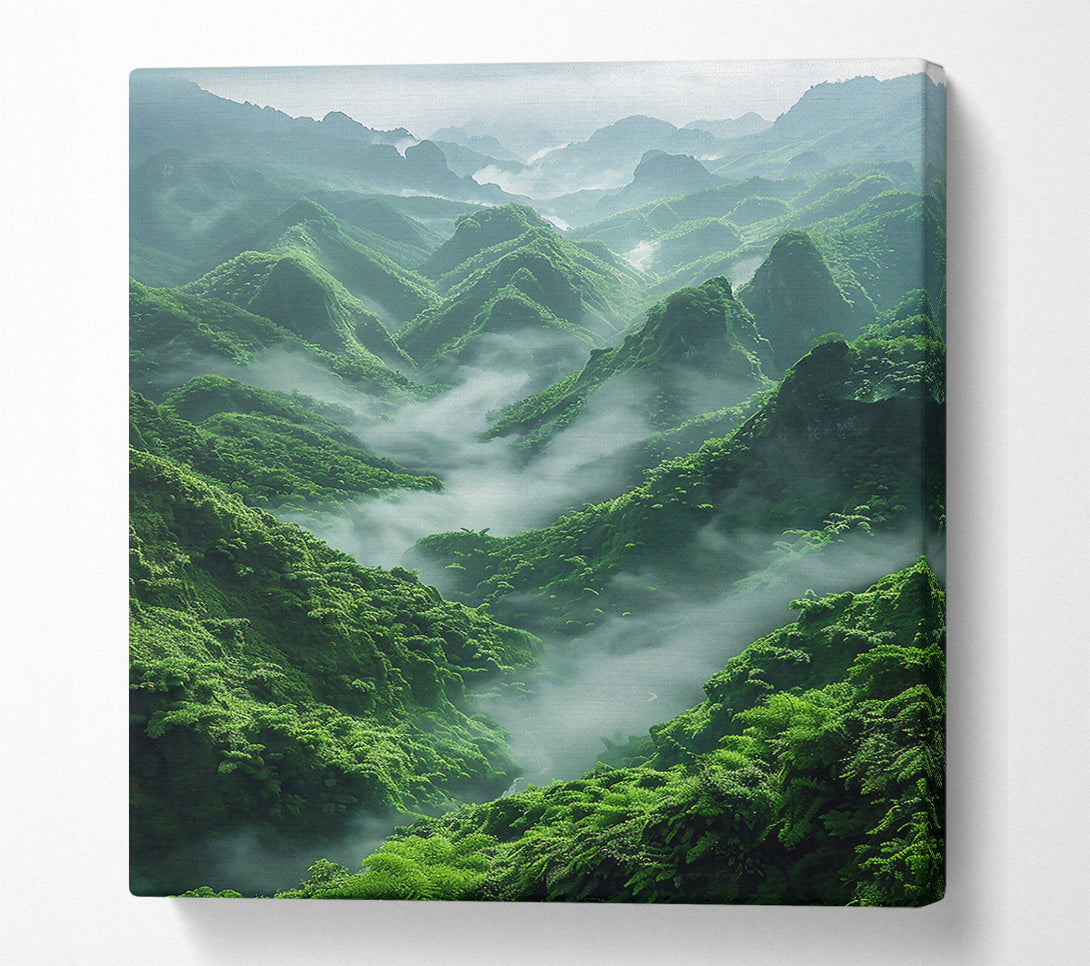  A Canvas Print of Emerald Valley Mist Canvas Wall Art
