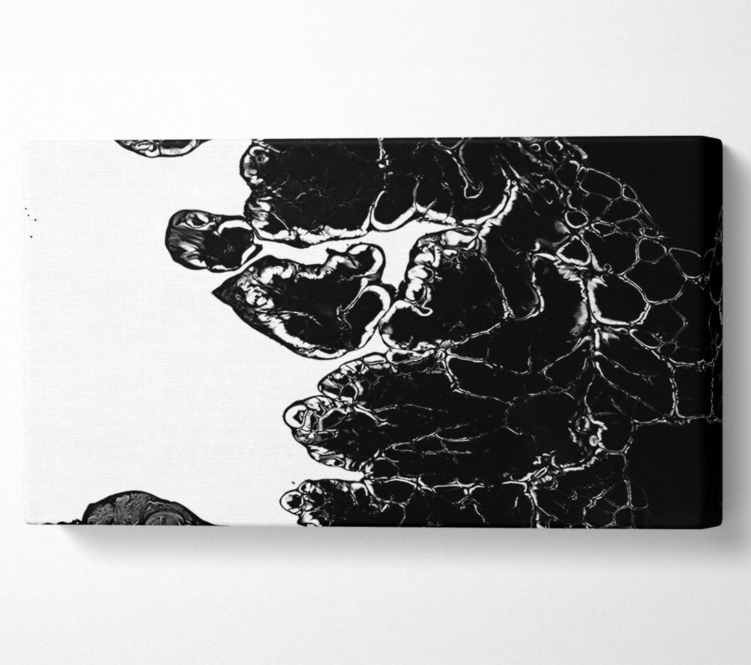  A Canvas Print of Black Abstract Flow Canvas Art
