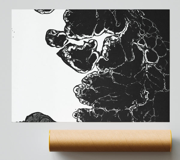 Black Abstract Flow Print