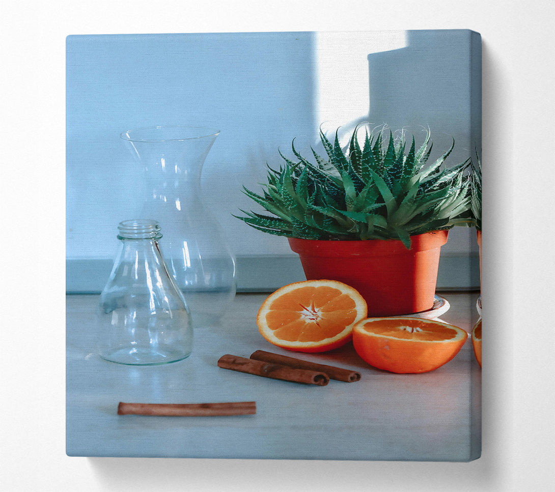  A Canvas Print of Orange And Cinnamon Still Life Canvas Art