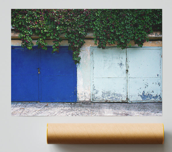 Blue Door And Vines. Poster