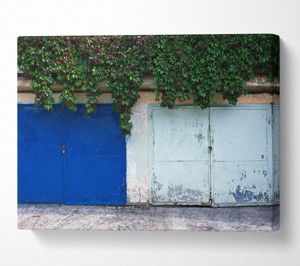  A Canvas Print of Blue Door And Vines. Canvas Wall Art