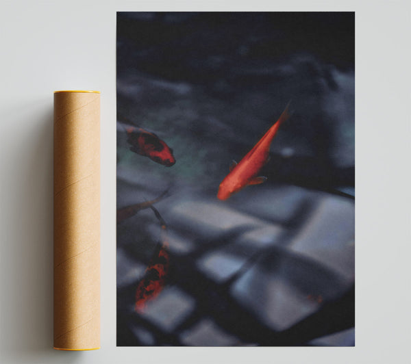 Crimson Fish Dreams Giclee Print