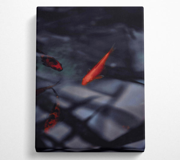  A Canvas Print of Crimson Fish Dreams Canvas Print