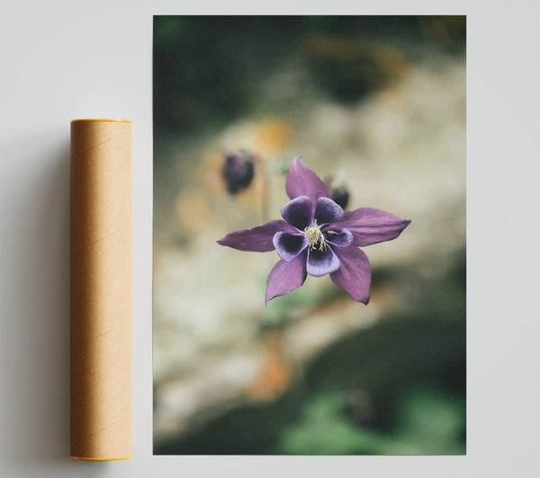 Purple Bloom'S Grace Print