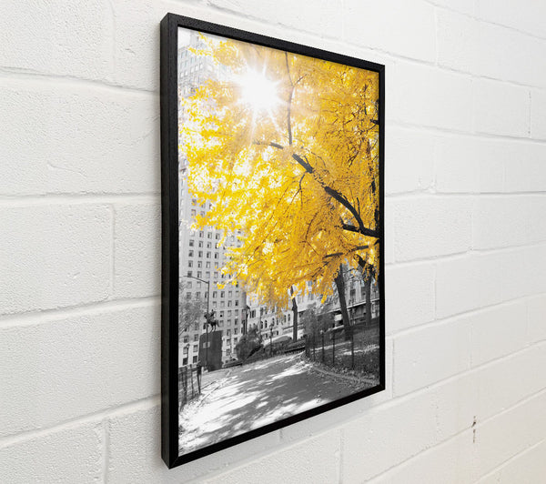 Autumn Sun