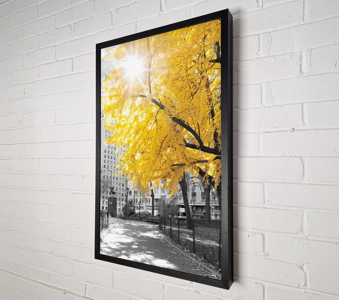  A Canvas Print of Autumn Sun Canvas Print