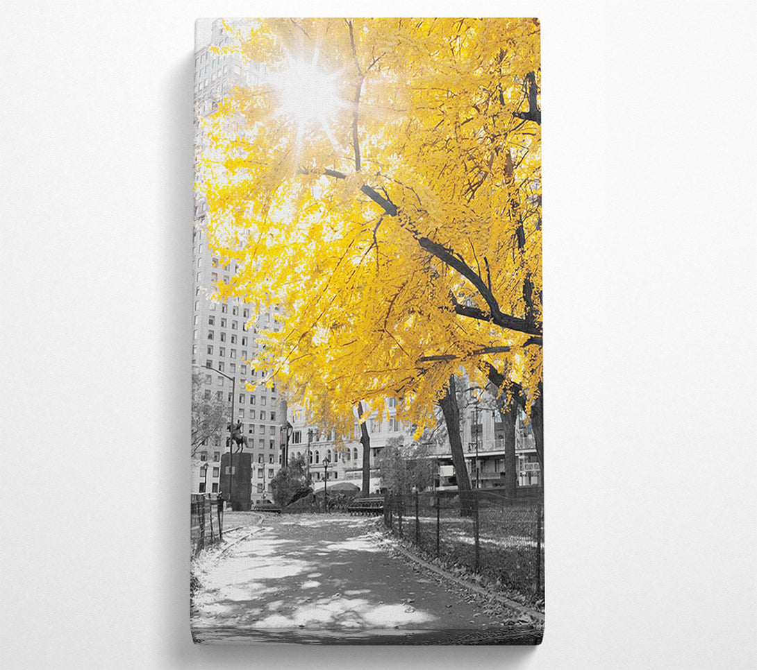  A Canvas Print of Autumn Sun Canvas Print