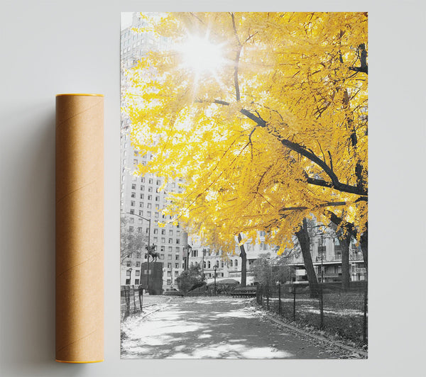 Autumn Sun Print