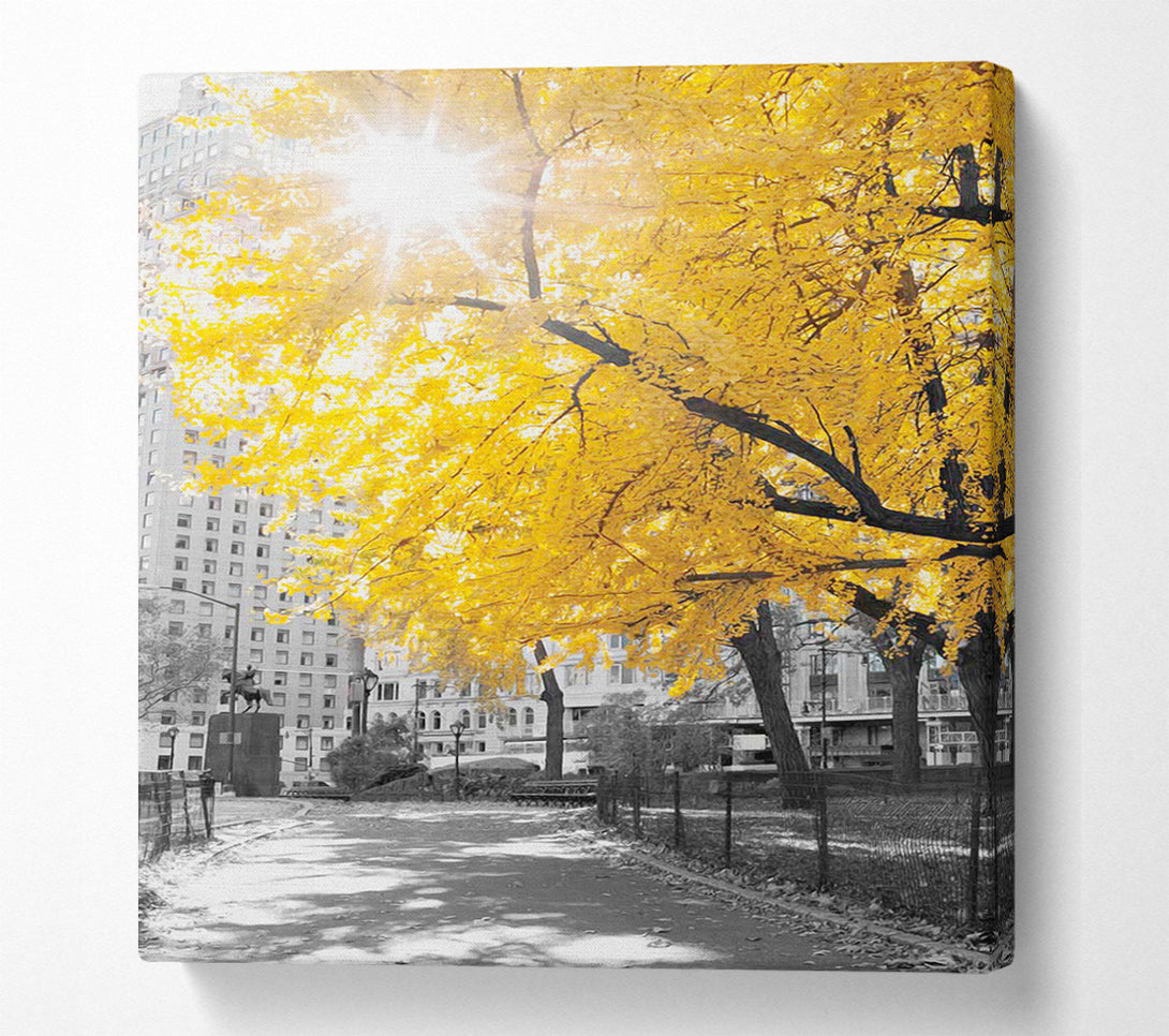  A Canvas Print of Autumn Sun Canvas Print