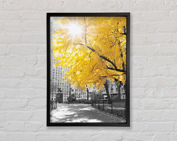 Autumn Sun Framed Print