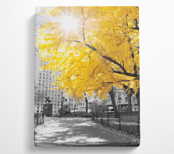  A Canvas Print of Autumn Sun Canvas Print
