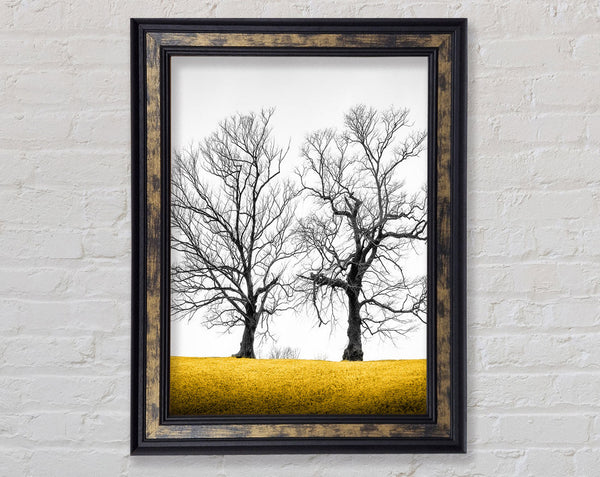 Autumn Trees Framed Print