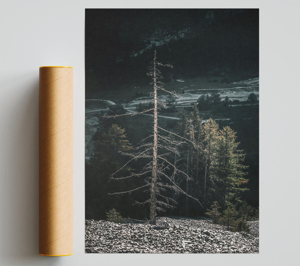 Gray Sky Silhouette Giclee Print