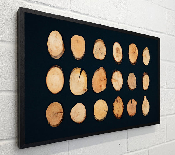 Golden Wood Rounds