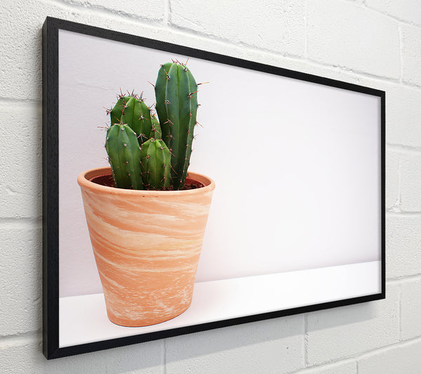 Terracotta Cactus Bloom