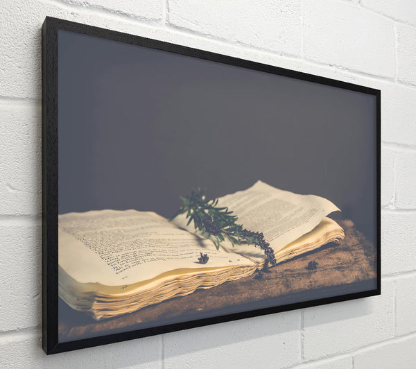 The Yellowed Pages