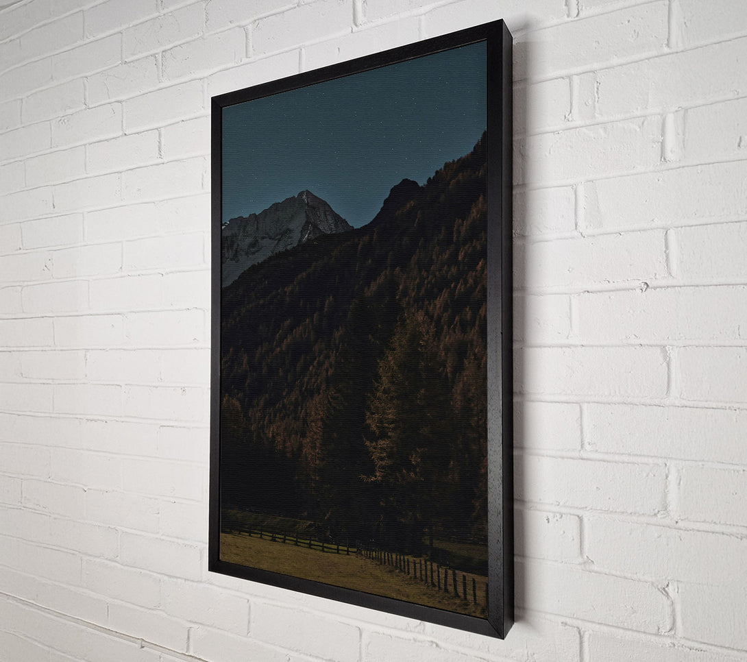  A Canvas Print of Blue Night Forest Canvas Print