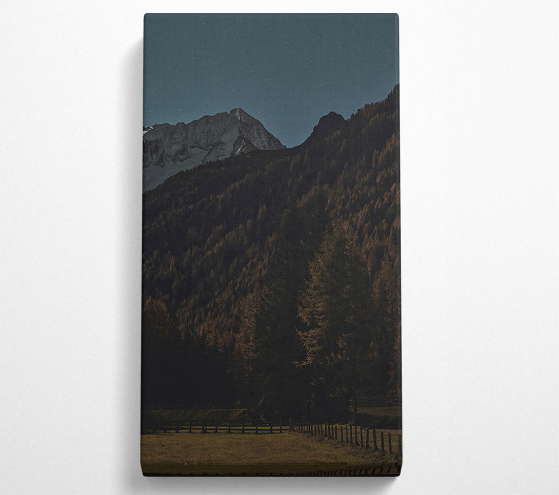  A Canvas Print of Blue Night Forest Canvas Print
