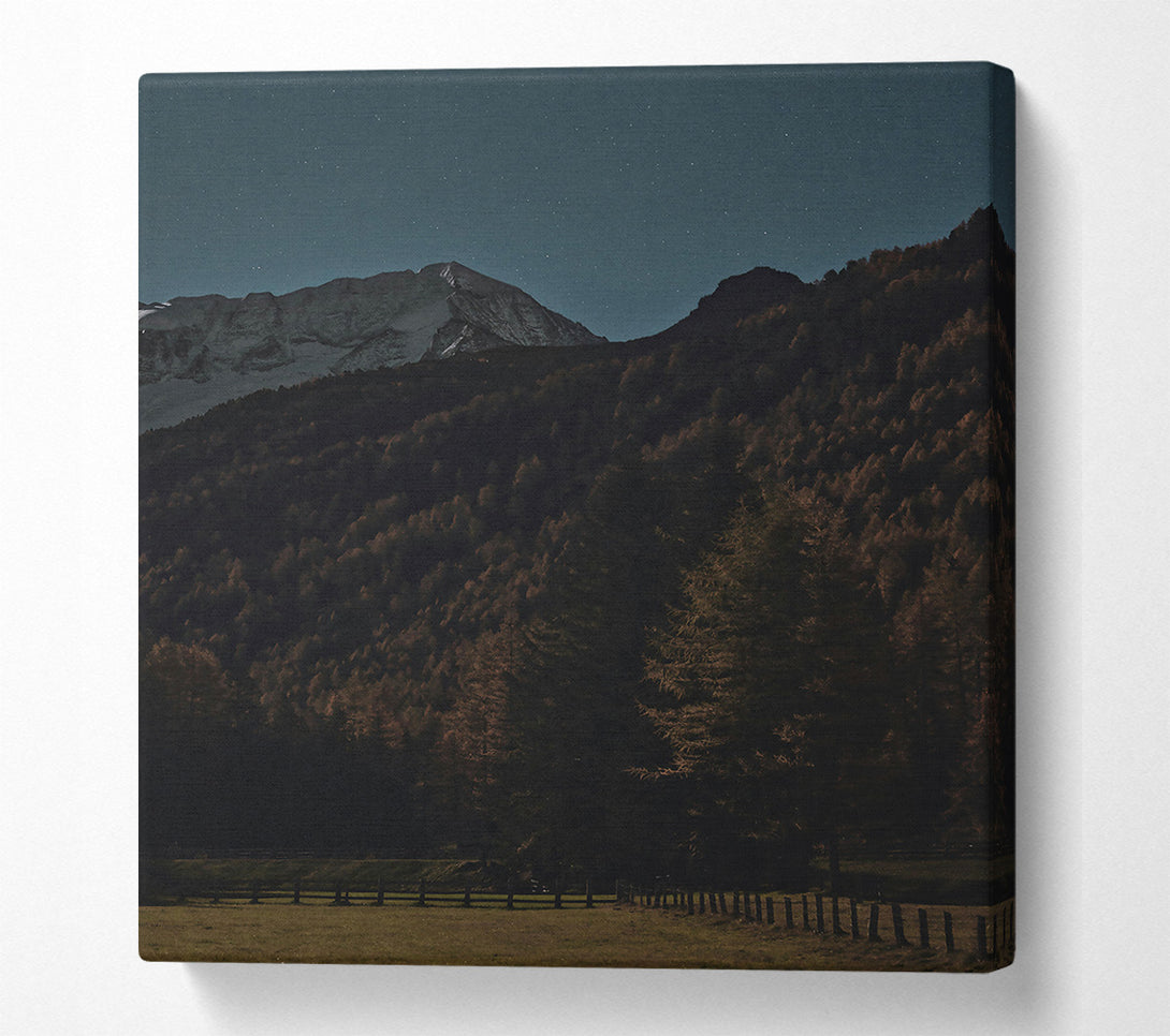  A Canvas Print of Blue Night Forest Canvas Print