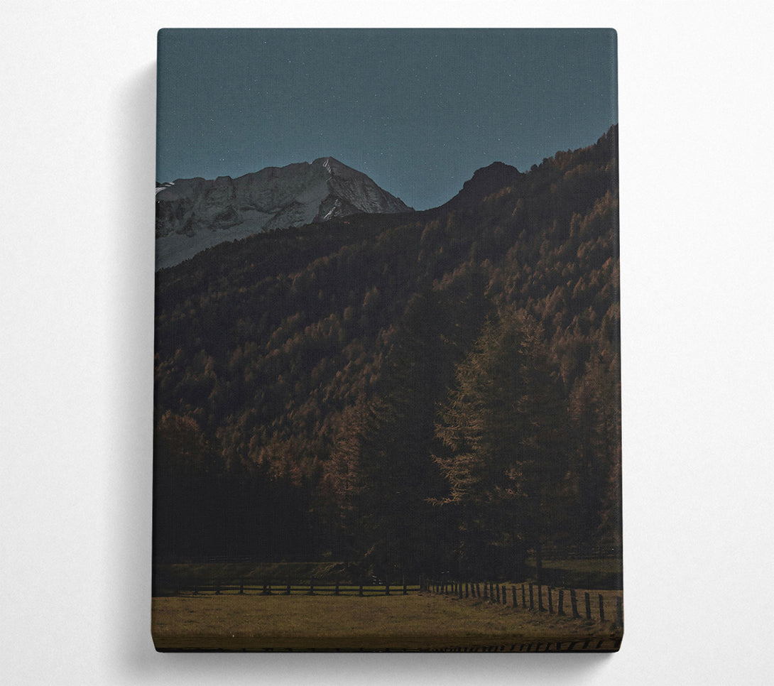  A Canvas Print of Blue Night Forest Canvas Print