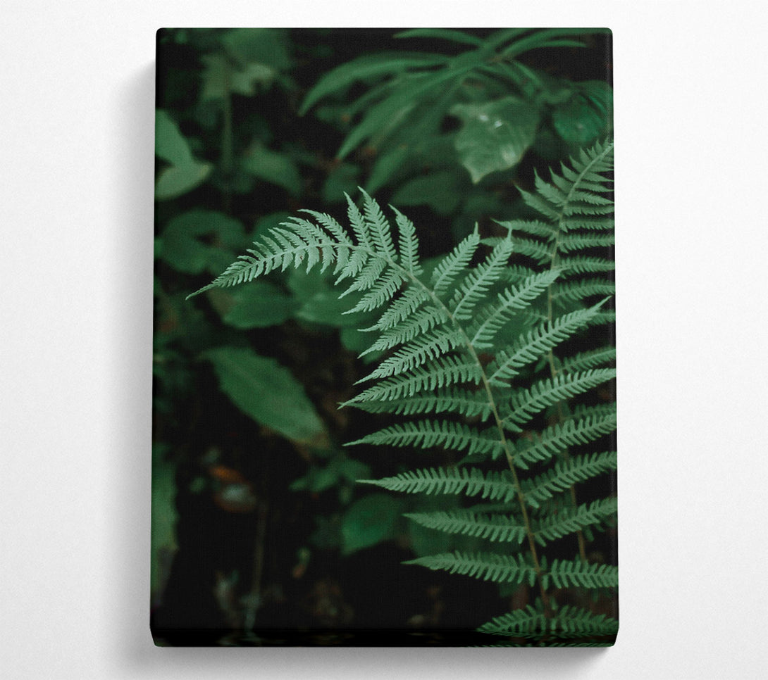  A Canvas Print of Emerald Fern Fronds Canvas Art