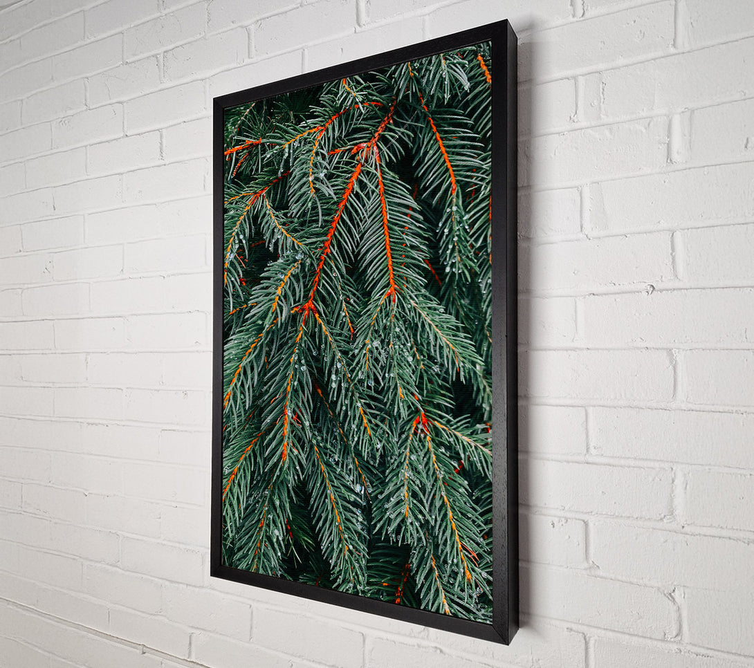  A Canvas Print of Emerald Evergreen Dewdrops Canvas Wall Art