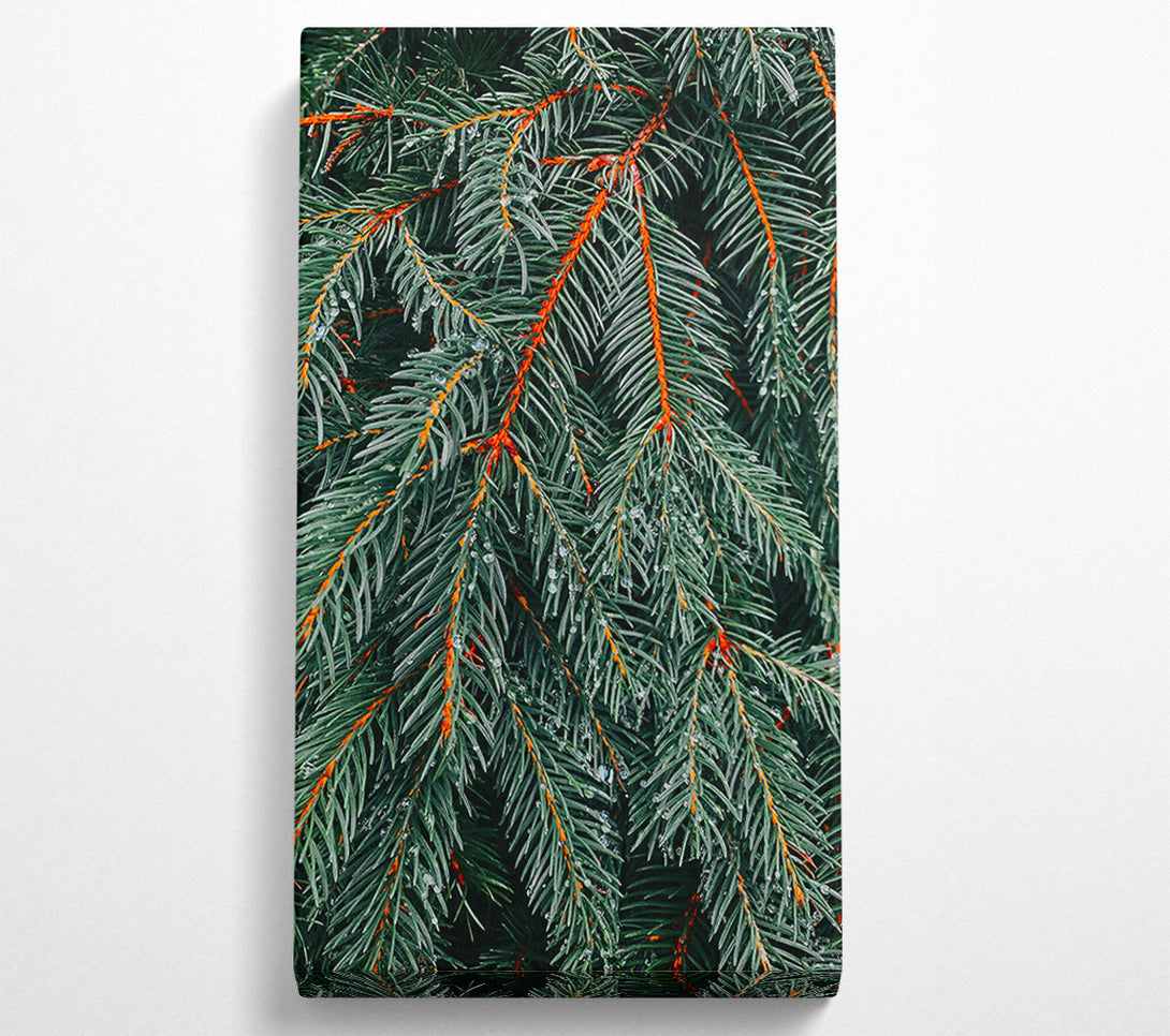  A Canvas Print of Emerald Evergreen Dewdrops Canvas Wall Art