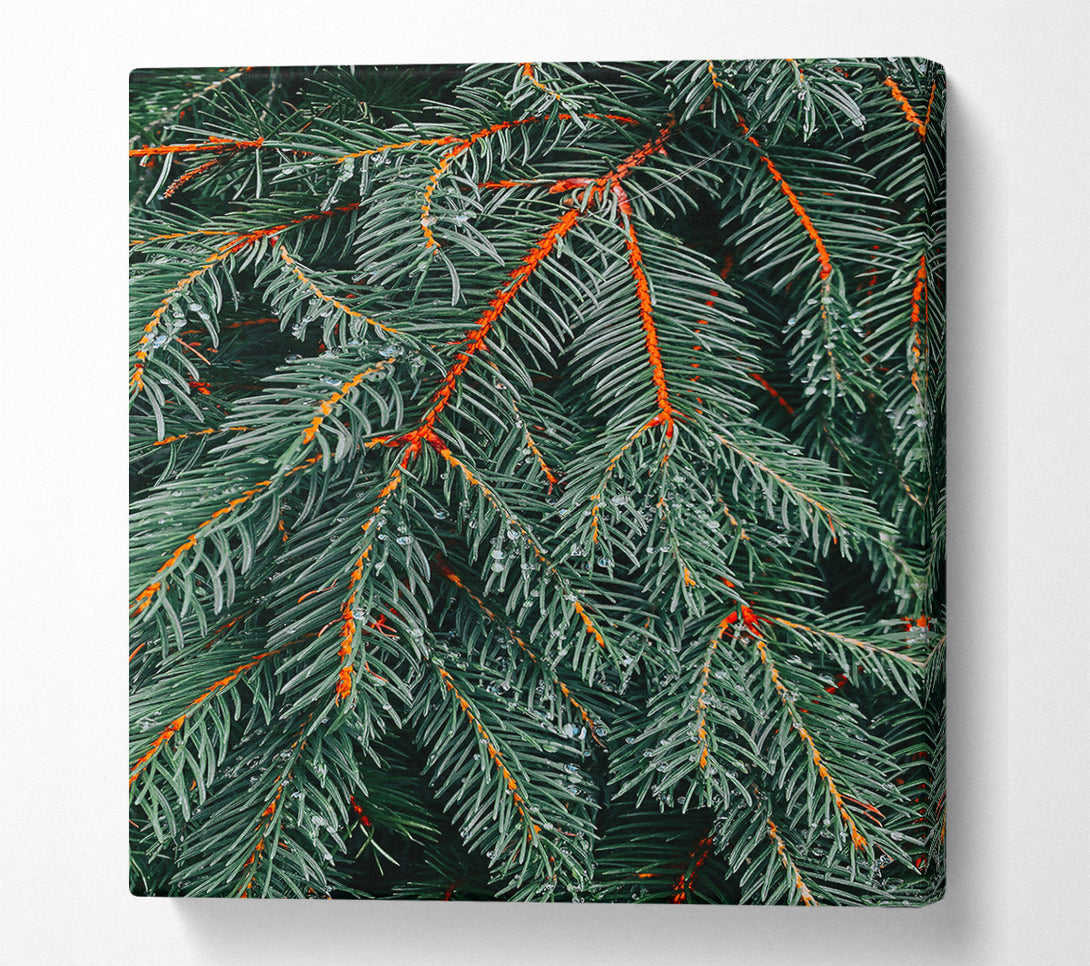  A Canvas Print of Emerald Evergreen Dewdrops Canvas Wall Art