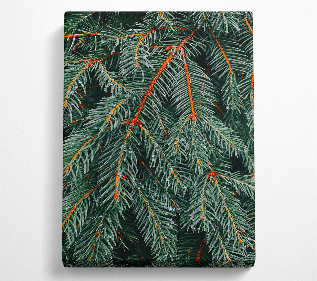  A Canvas Print of Emerald Evergreen Dewdrops Canvas Wall Art