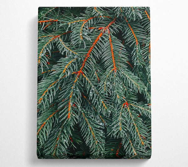  A Canvas Print of Emerald Evergreen Dewdrops Canvas Wall Art