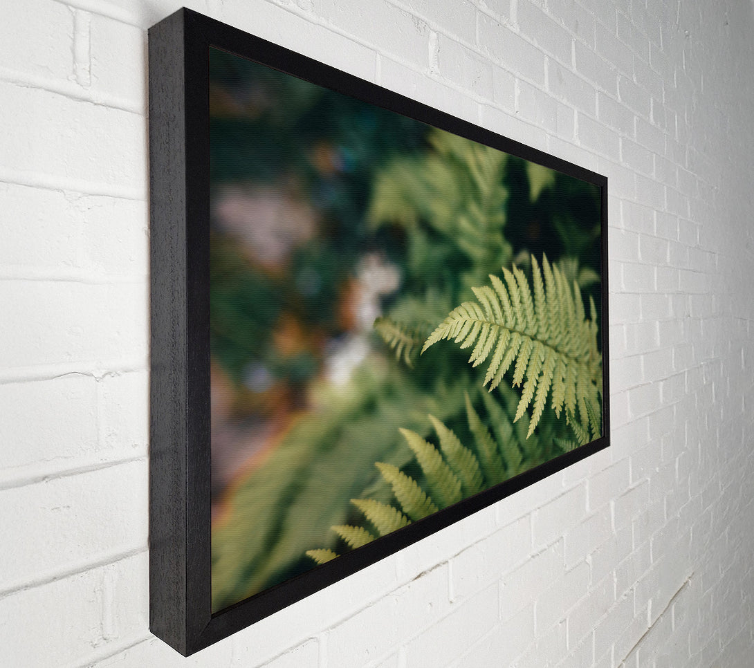  A Canvas Print of Pale Green Fern Frond Canvas Wall Art