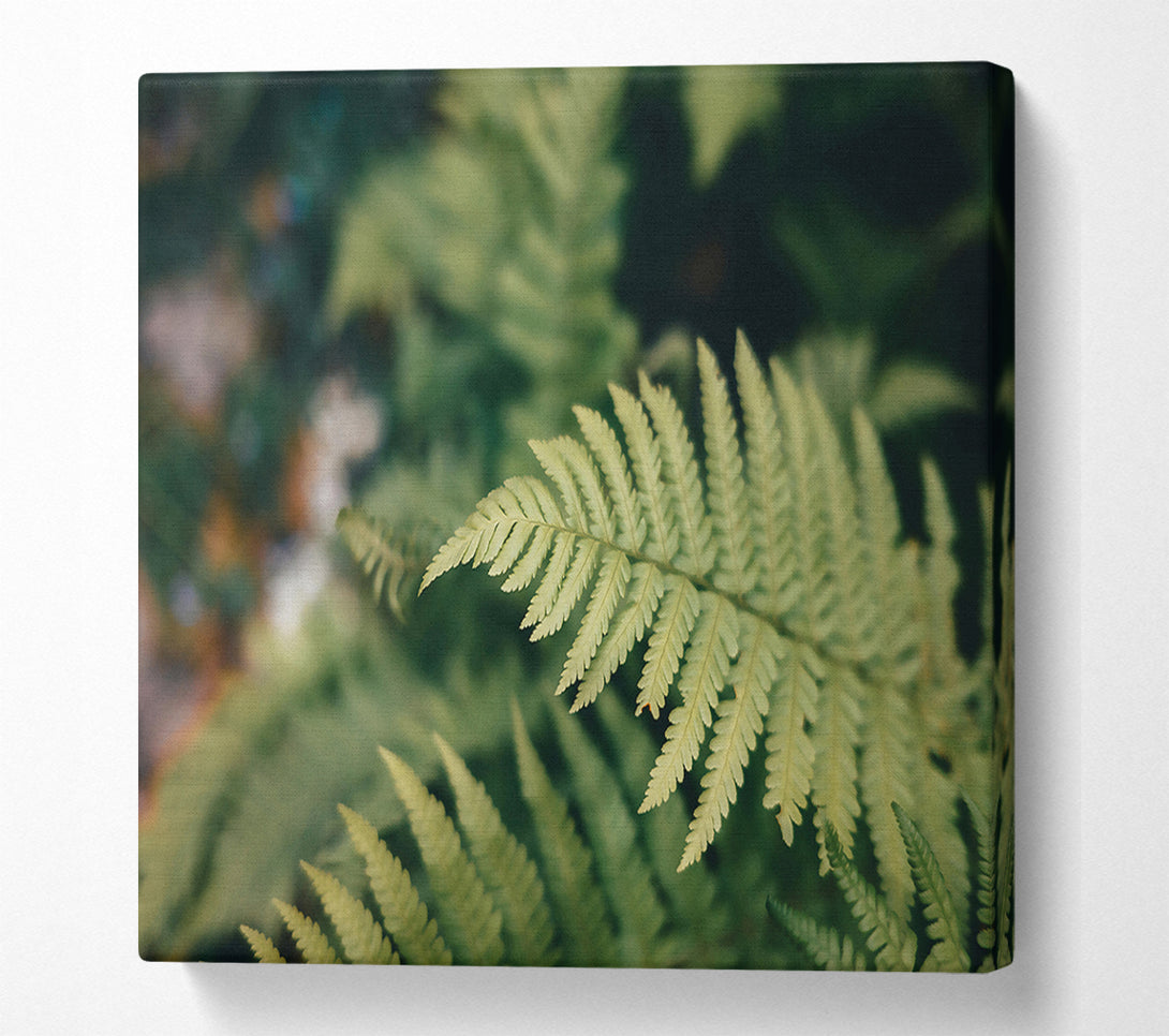 A Canvas Print of Pale Green Fern Frond Canvas Wall Art