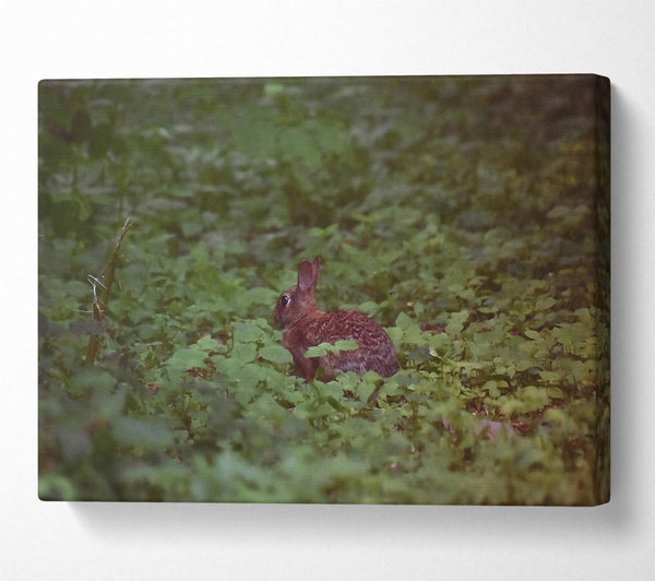  A Canvas Print of Green Forest Rabbit Canvas Print