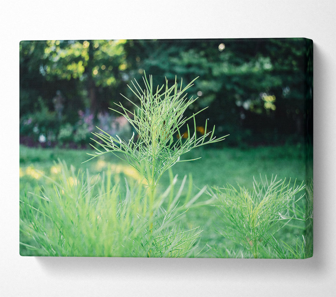  A Canvas Print of Emerald Green Sprout Canvas Print