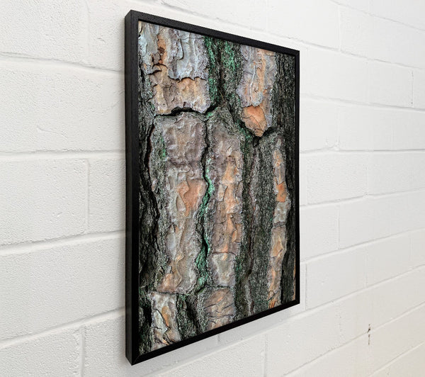 Green Lines And Bark
