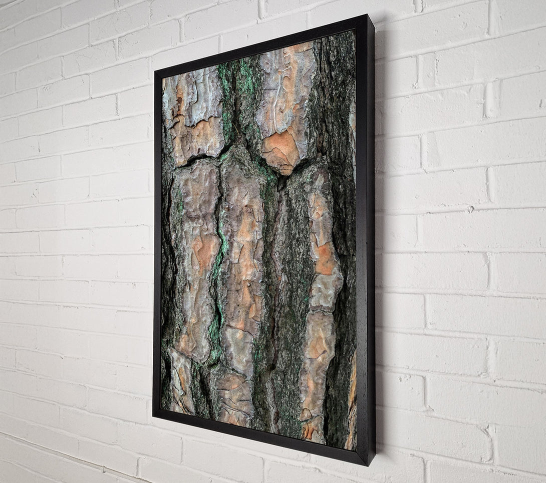  A Canvas Print of Green Lines And Bark Canvas Art