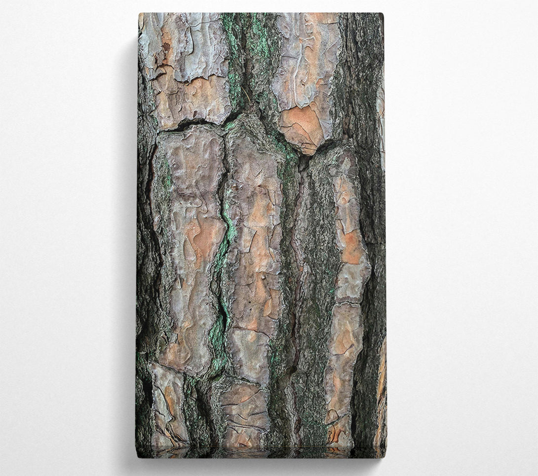  A Canvas Print of Green Lines And Bark Canvas Art