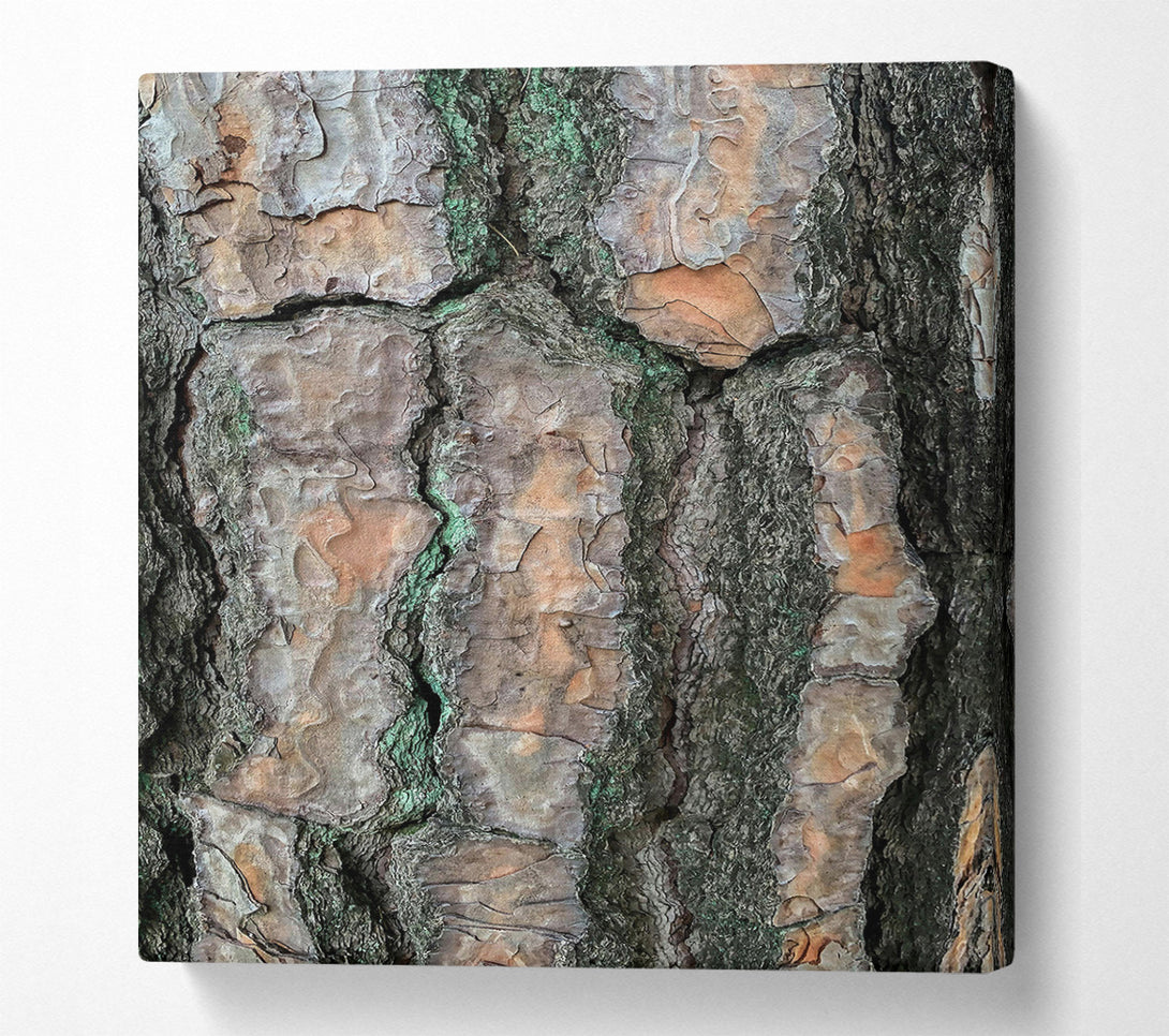  A Canvas Print of Green Lines And Bark Canvas Art