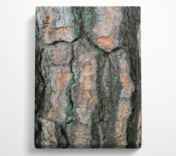  A Canvas Print of Green Lines And Bark Canvas Art